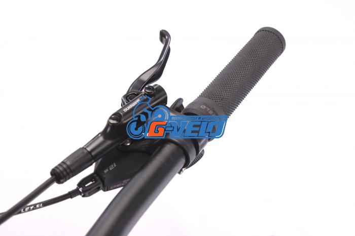 TIMETRY 29 TT812 12S