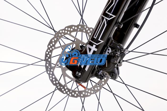 TIMETRY 29 TT812 12S