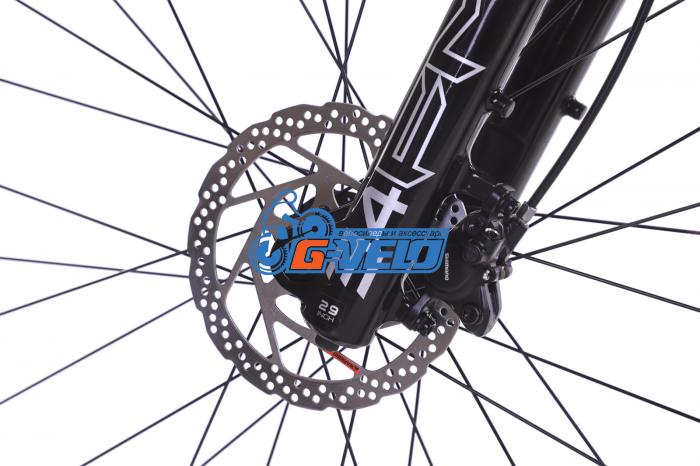 TIMETRY 29 TT812 12S