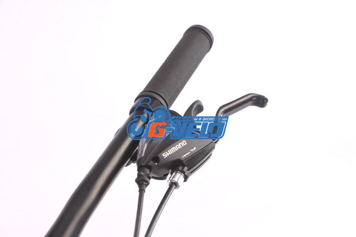 FUSHI 29 FU668 21S